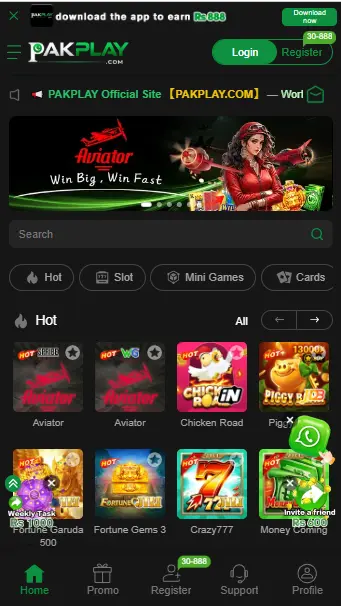 pakplay game image