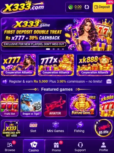 x333 game